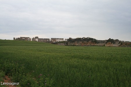 Photo - Le site archéologique d'Apamée