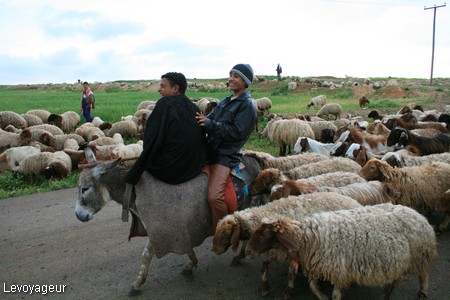 Photo - Jeunes bergers près du  site archéologique  d'Apamée