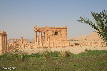 Photo - Site archéologique de Palmyre