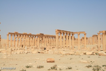 Photo - Site de Palmyre
