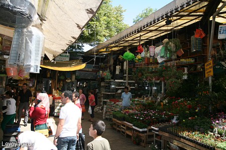 Photo - Le quartier du Büyük Çarşı (grand bazar)