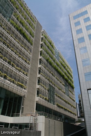 Photo - Immeuble végétalisé dans le quartier Levent